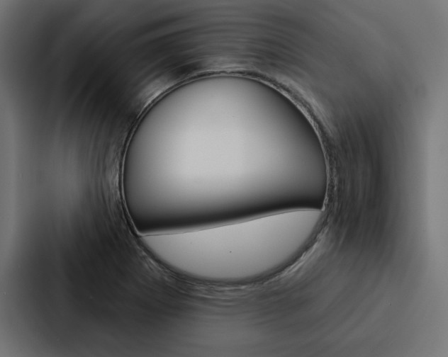 X0000088181273200705150932