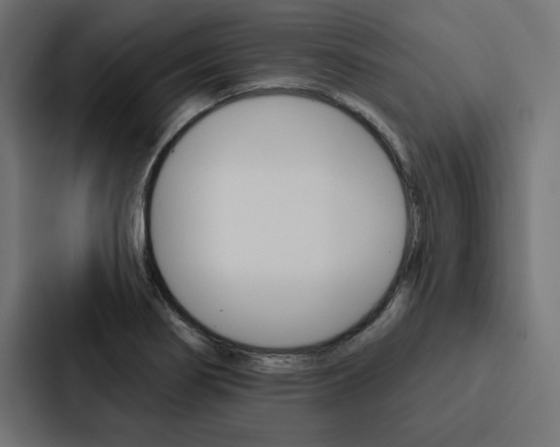 X0000088181274200705150932
