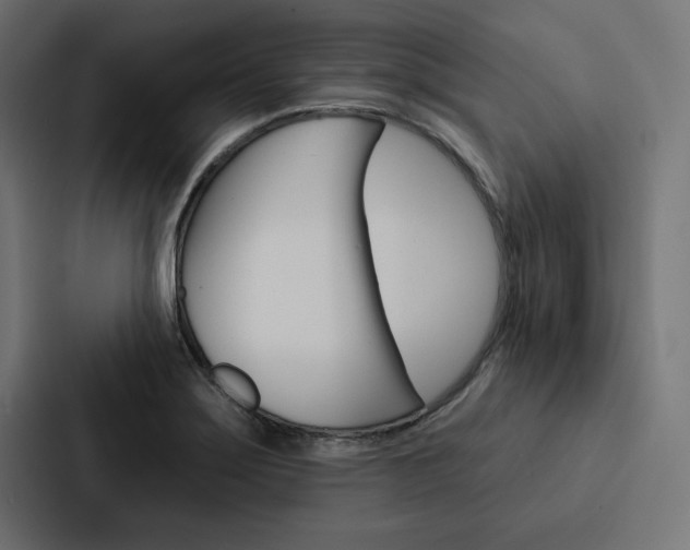 X0000088181275200705150932