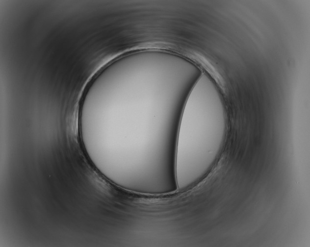 X0000088181276200705150932