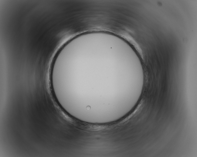 X0000088181278200705150932