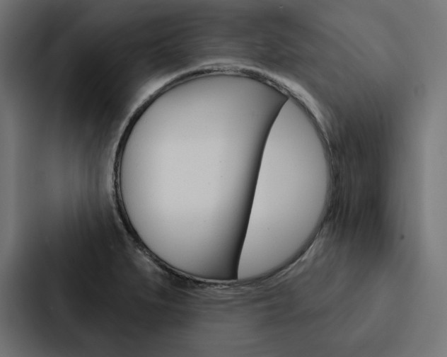 X0000088181279200705150932