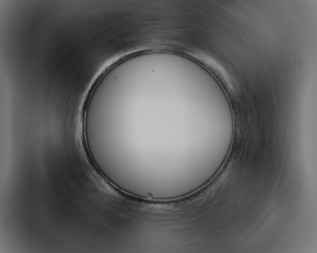 X0000088181280200705150932