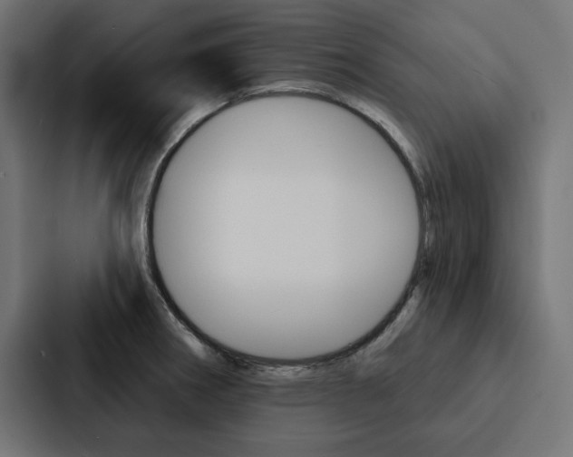 X0000088181282200705150932