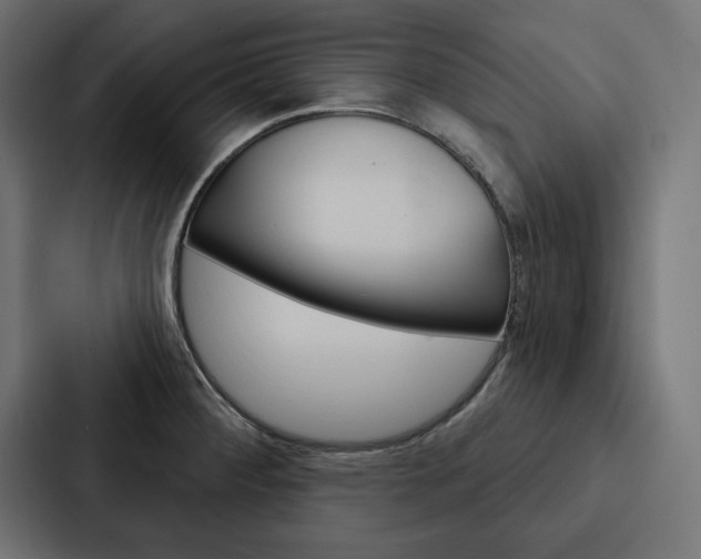X0000088181284200705150932
