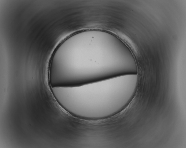 X0000088181288200705150932