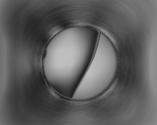 X0000088181289200705150932