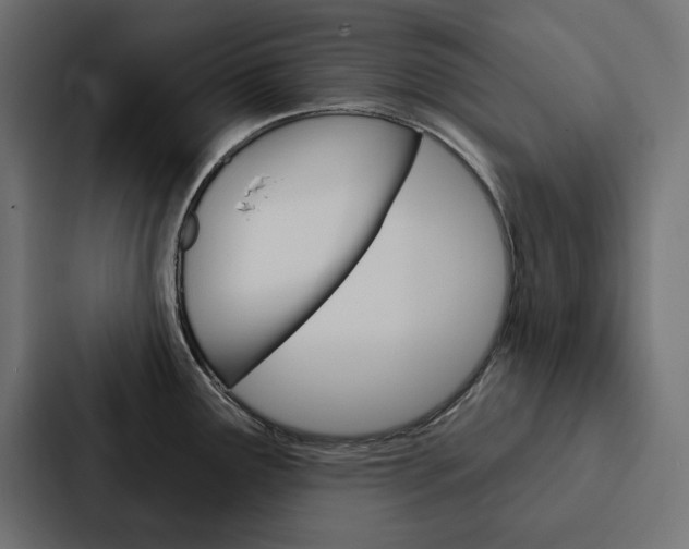 X0000088181291200705150932