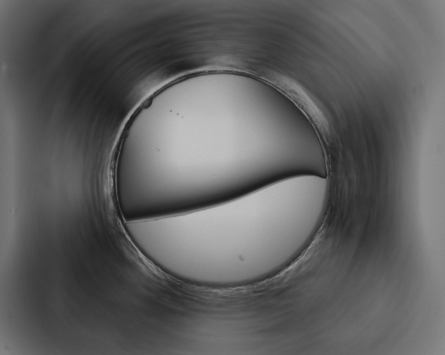 X0000088181292200705150932