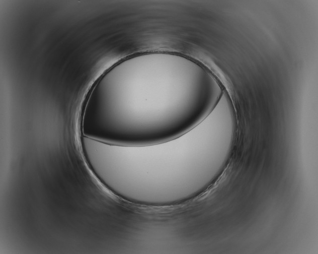 X0000088181293200705150932