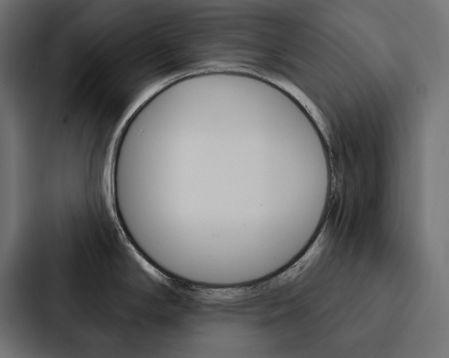 X0000088181294200705150932