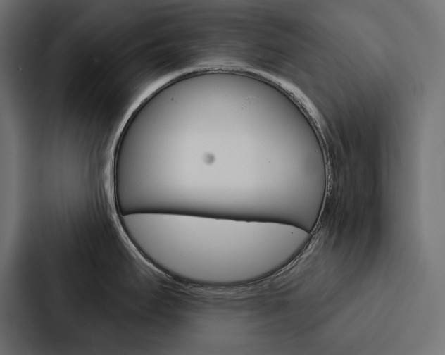 X0000088181295200705150932