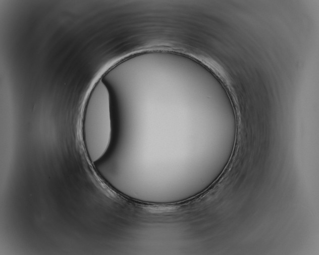 X0000088181296200705150932