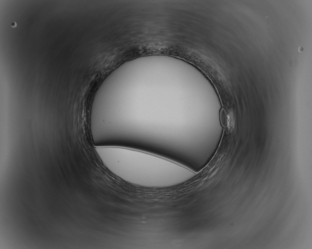 X0000088181299200705150931