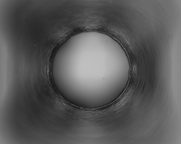 X0000088181300200705150931