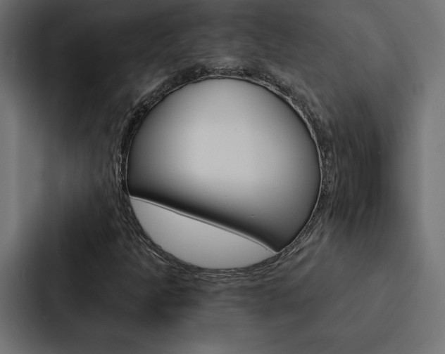 X0000088181301200705150931