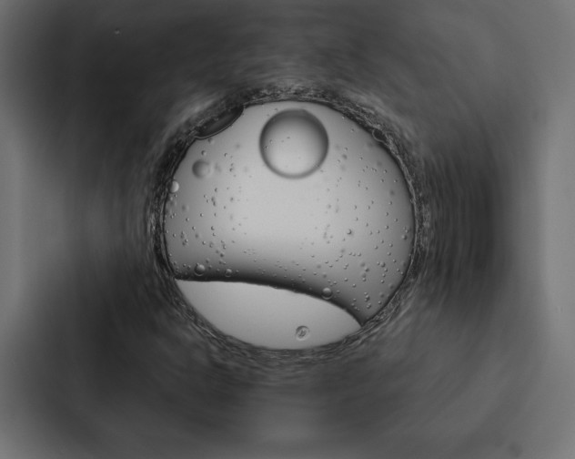 X0000088181302200705150931