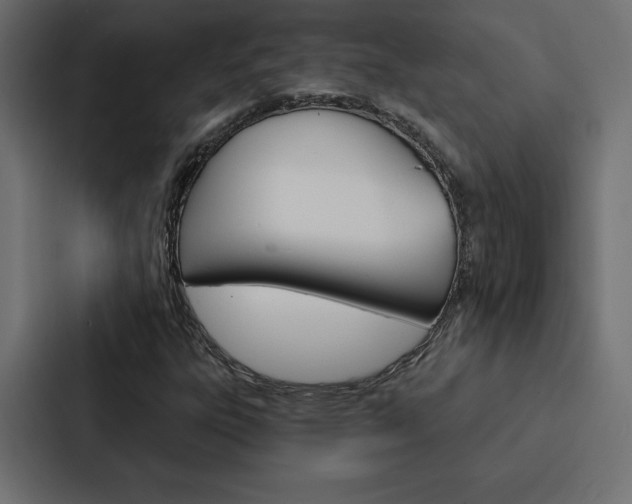 X0000088181303200705150931