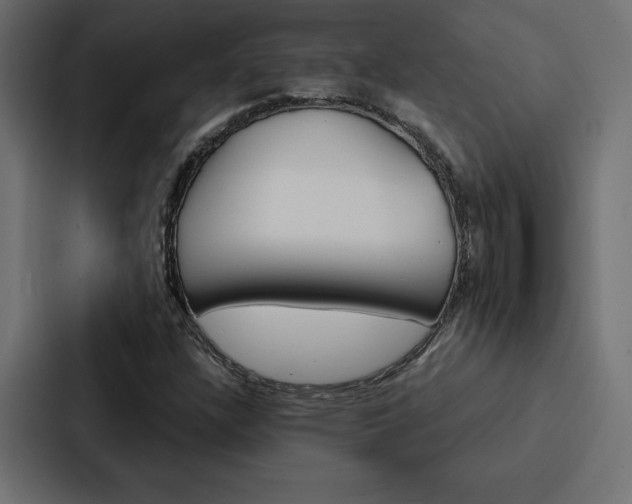X0000088181304200705150931