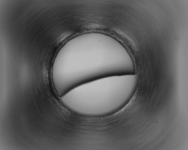 X0000088181305200705150931