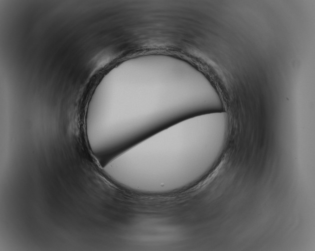X0000088181306200705150931