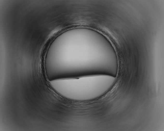 X0000088181307200705150931