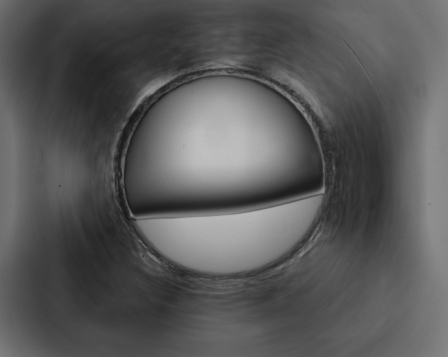 X0000088181308200705150931