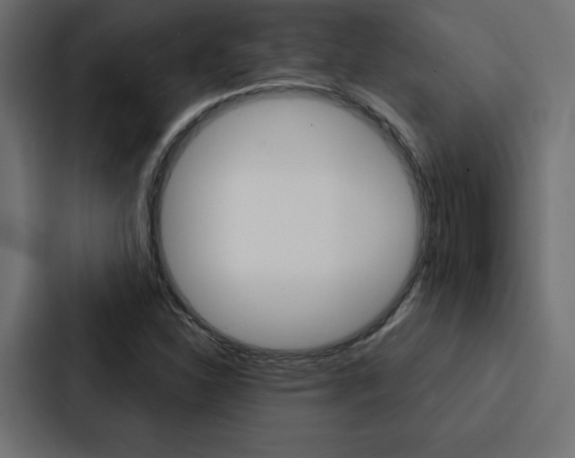 X0000088181310200705150931