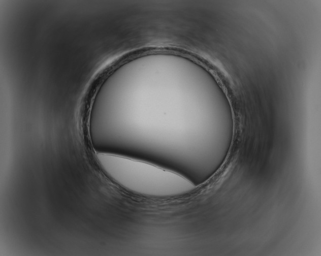 X0000088181311200705150931