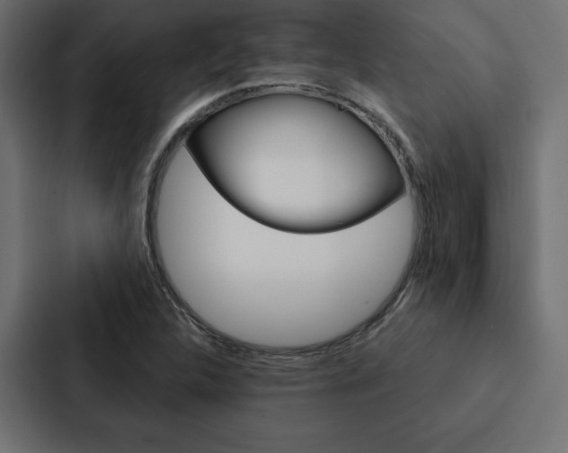 X0000088181312200705150931