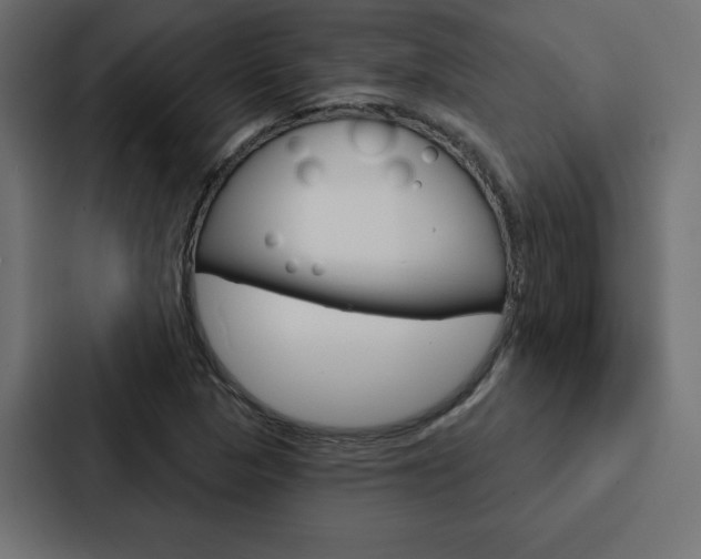 X0000088181313200705150931