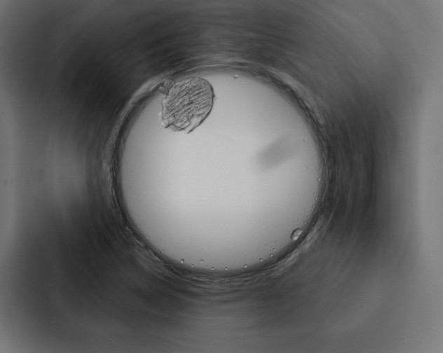 X0000088181314200705150931