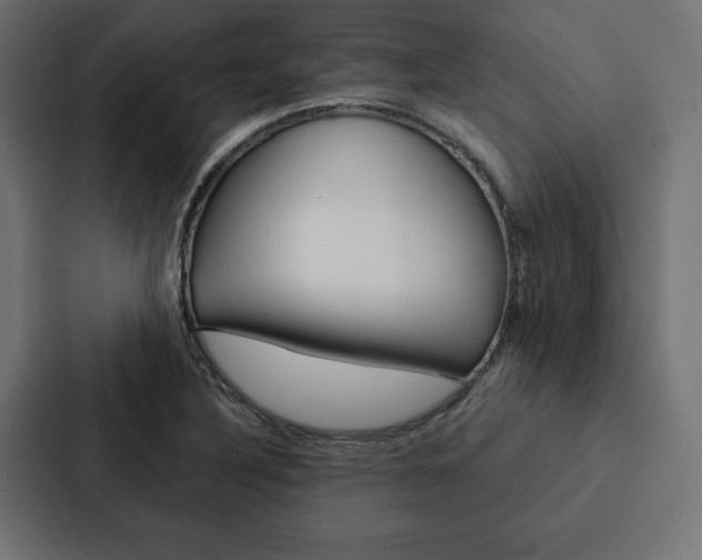 X0000088181316200705150931