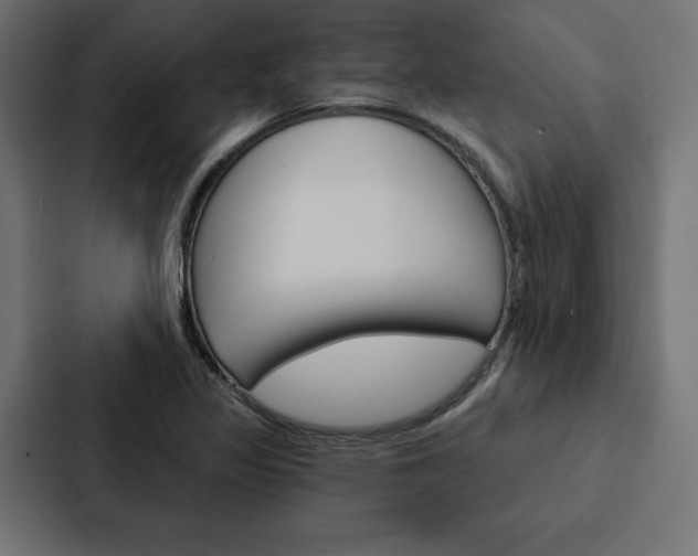 X0000088181317200705150931