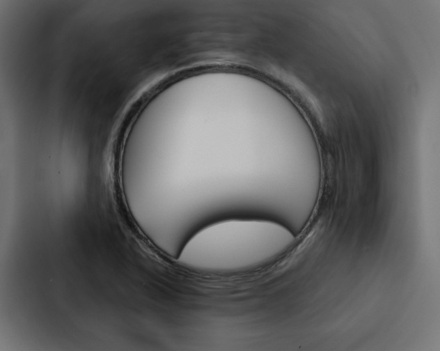 X0000088181318200705150931