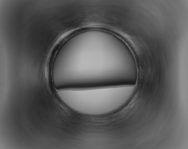 X0000088181319200705150931