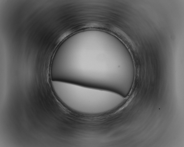 X0000088181321200705150931
