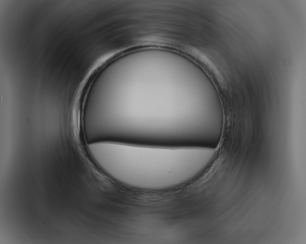 X0000088181323200705150931