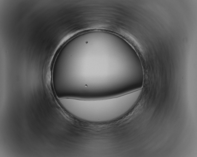 X0000088181324200705150932