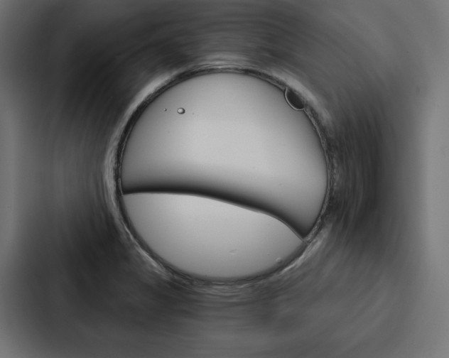 X0000088181325200705150932