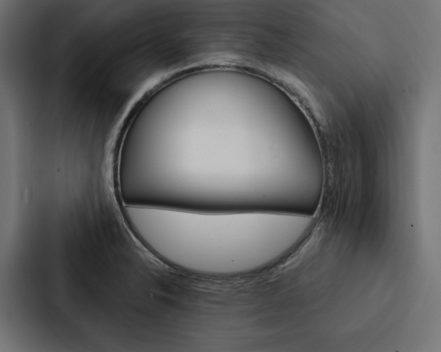 X0000088181326200705150932