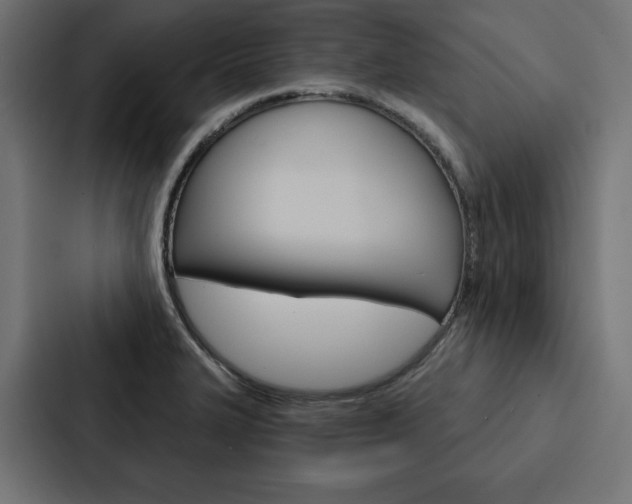 X0000088181327200705150932