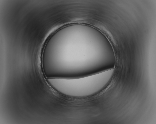 X0000088181328200705150932