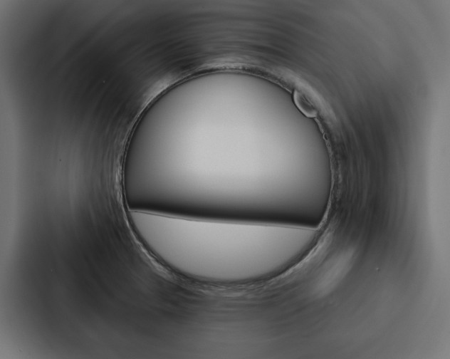 X0000088181329200705150932