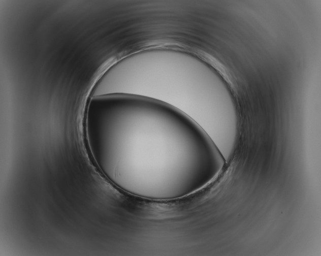 X0000088181330200705150932