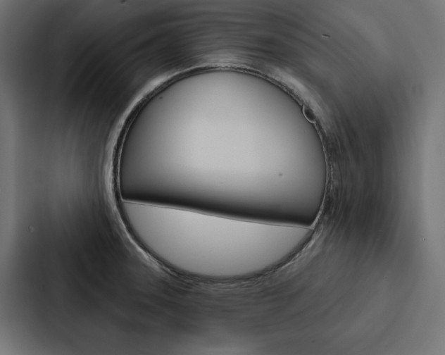 X0000088181331200705150932