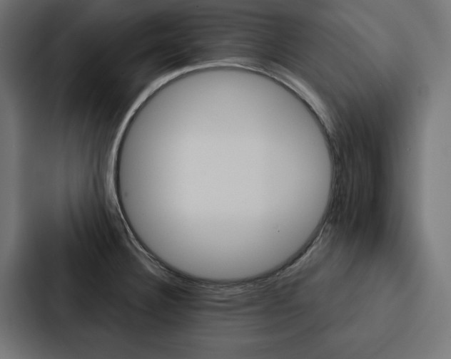 X0000088181332200705150932