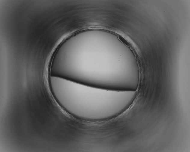X0000088181333200705150932