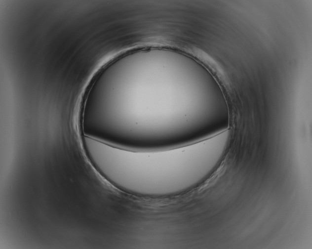 X0000088181334200705150932