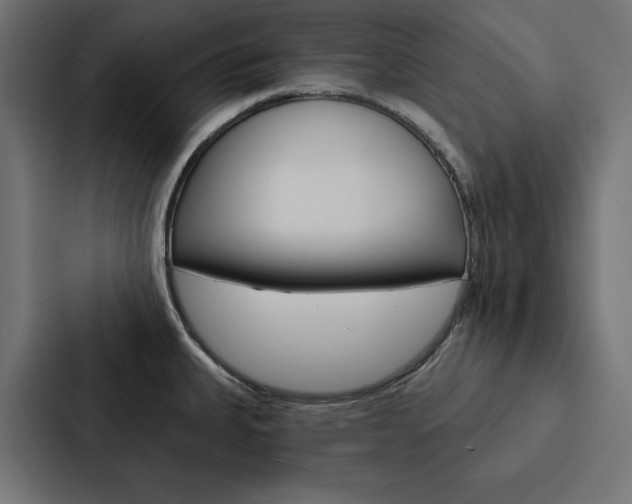 X0000088181335200705150932